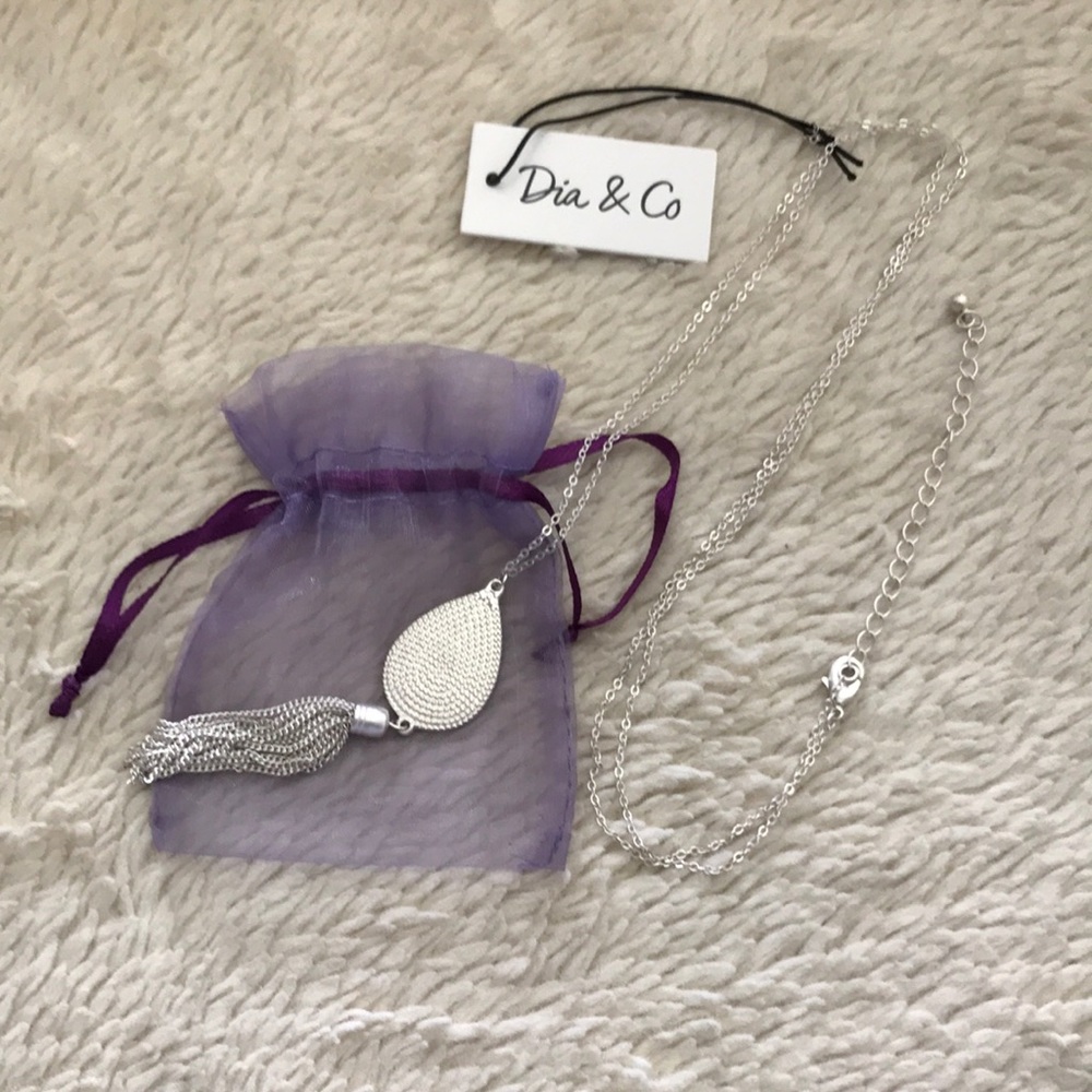 Dia & Co silver finish necklace